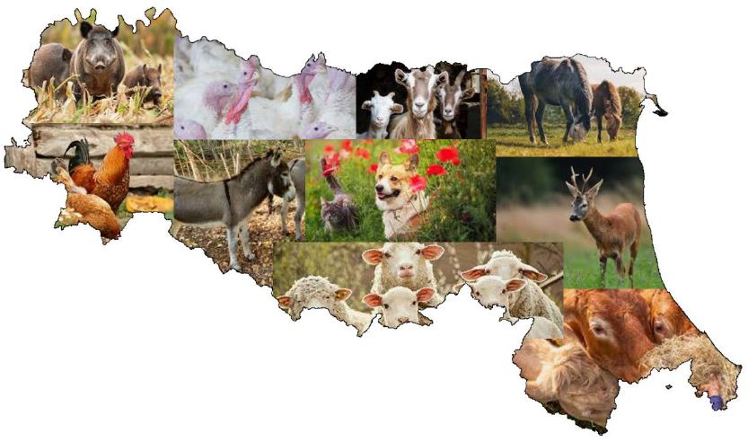 Relazione di Sanità Animale per l'Emilia-Romagna