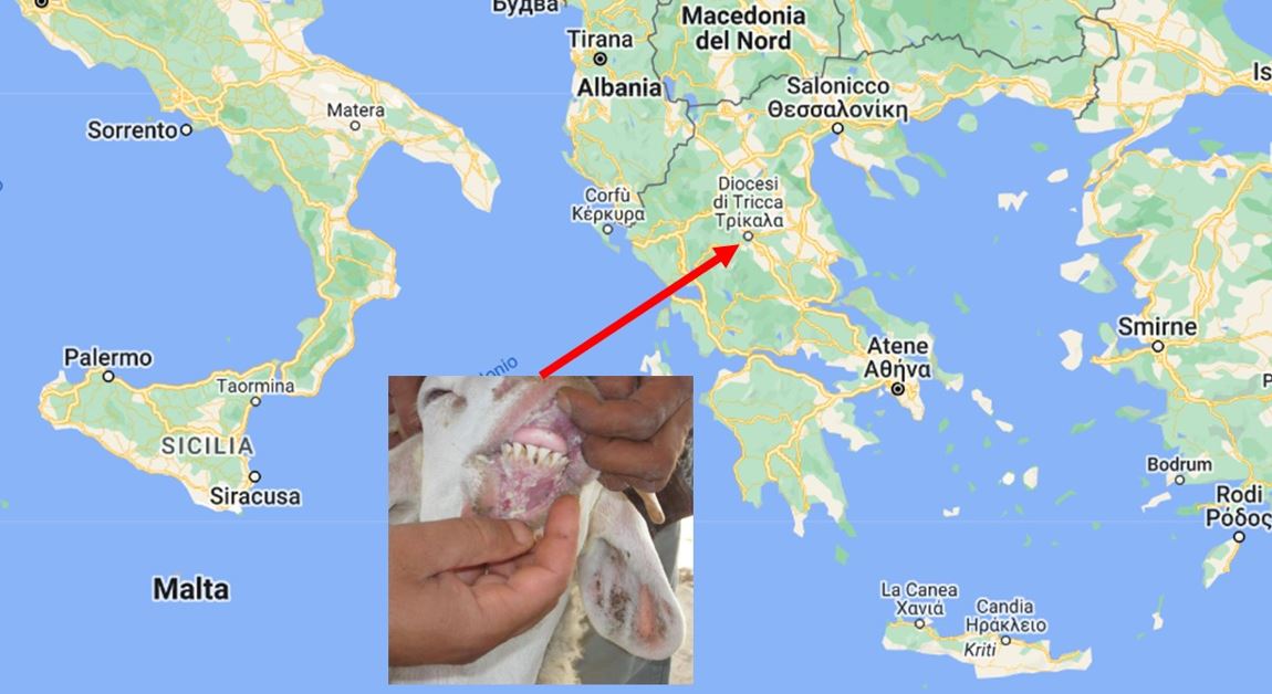 Peste dei piccoli ruminanti in Grecia