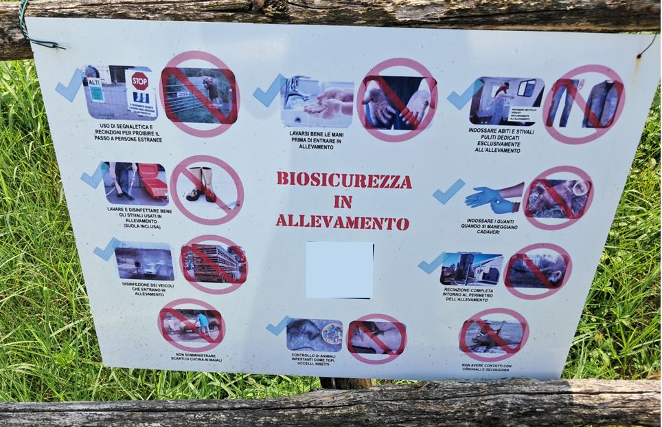 Primo focolaio di PSA nel suino in Emilia-Romagna
